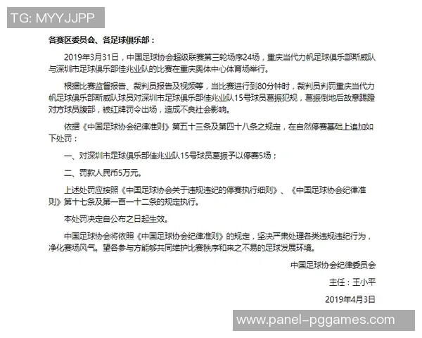 关于足球比赛裁判判罚不公的申诉书范文及注意事项解析